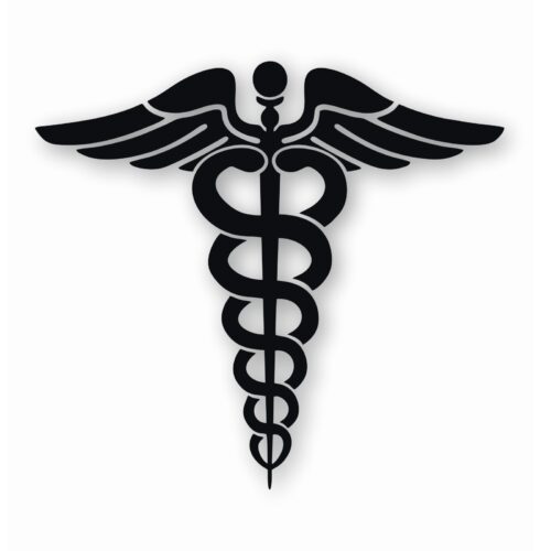 Caduceus RN EMT Nurse Paramedic - Vinyl Decal Sticker - CHOOSE Size & Color