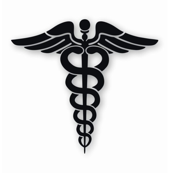 Caduceus RN EMT Nurse Paramedic - Vinyl Decal Sticker - CHOOSE Size & Color