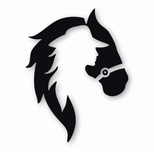 Horse Cowgirl Western Pony - Vinyl Decal Sticker - CHOOSE Size & Color