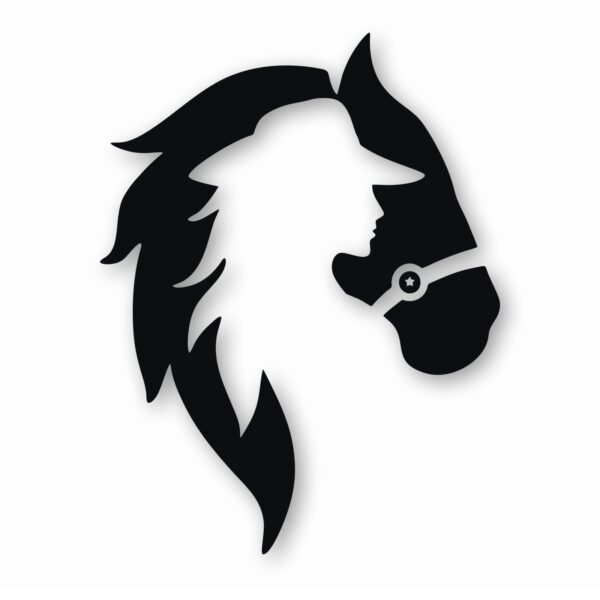 Horse Cowgirl Western Pony - Vinyl Decal Sticker - CHOOSE Size & Color