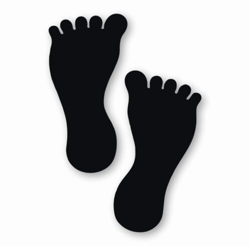 Sensory Path Durable Barefoot - Vinyl Decal Sticker - CHOOSE Size & Color