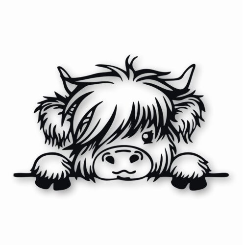 10-174.jpg ADORABLE BABY HIGHLAND COW - Vinyl Decal Sticker - CHOOSE Size & Color