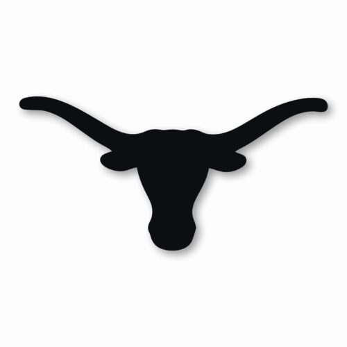 TEXAS LONGHORN - Vinyl Decal Sticker - CHOOSE Size & Color