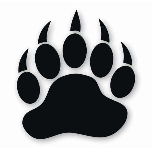 Bear Paw Claw Print - Vinyl Decal Sticker - CHOOSE Size & Color