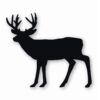 Buck Silhouette Deer Antlers - Vinyl Decal Sticker - CHOOSE Size & Color