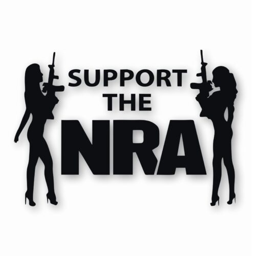 NRA Sexy Girls Support 2nd Amendment - Vinyl Decal Sticker - CHOOSE Size & Color