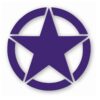 Army Star Jeep Door Patriot - Vinyl Decal Sticker - CHOOSE Size & Color