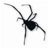 Black Widow Spider Silhouette - Vinyl Decal Sticker - CHOOSE Size & Color