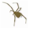 Black Widow Spider Silhouette - Vinyl Decal Sticker - CHOOSE Size & Color