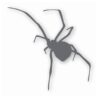 Black Widow Spider Silhouette - Vinyl Decal Sticker - CHOOSE Size & Color