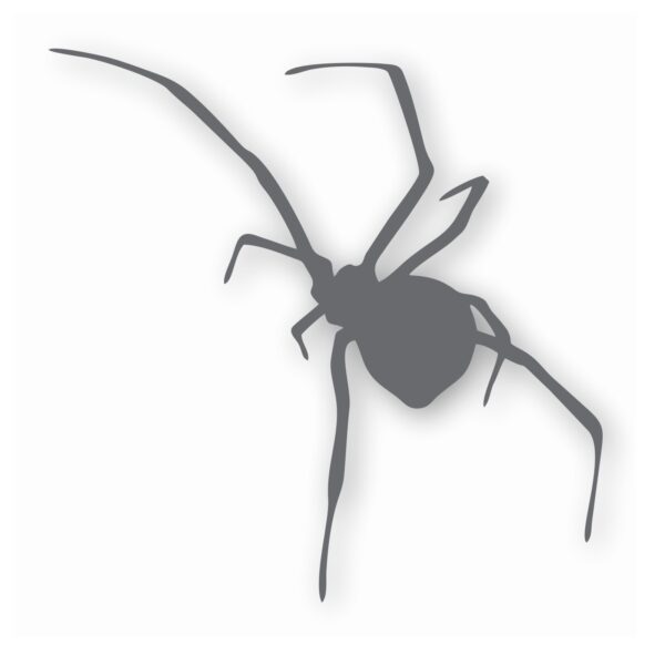 Black Widow Spider Silhouette - Vinyl Decal Sticker - CHOOSE Size & Color