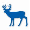 Buck Silhouette Deer Antlers - Vinyl Decal Sticker - CHOOSE Size & Color