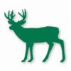 Buck Silhouette Deer Antlers - Vinyl Decal Sticker - CHOOSE Size & Color