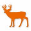 Buck Silhouette Deer Antlers - Vinyl Decal Sticker - CHOOSE Size & Color