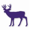 Buck Silhouette Deer Antlers - Vinyl Decal Sticker - CHOOSE Size & Color