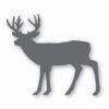 Buck Silhouette Deer Antlers - Vinyl Decal Sticker - CHOOSE Size & Color