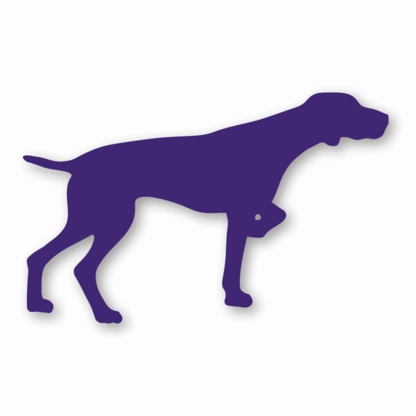 German Shorthaired Pointer Dog - Vinyl Decal Sticker - CHOOSE Size & Color