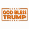 God Bless Trump America USA - Vinyl Decal Sticker - CHOOSE Size & Color