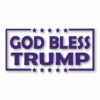 God Bless Trump America USA - Vinyl Decal Sticker - CHOOSE Size & Color