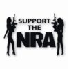 NRA Sexy Girls Support 2nd Amendment - Vinyl Decal Sticker - CHOOSE Size & Color