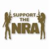 NRA Sexy Girls Support 2nd Amendment - Vinyl Decal Sticker - CHOOSE Size & Color