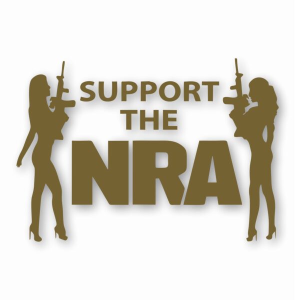 NRA Sexy Girls Support 2nd Amendment - Vinyl Decal Sticker - CHOOSE Size & Color