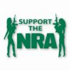 NRA Sexy Girls Support 2nd Amendment - Vinyl Decal Sticker - CHOOSE Size & Color