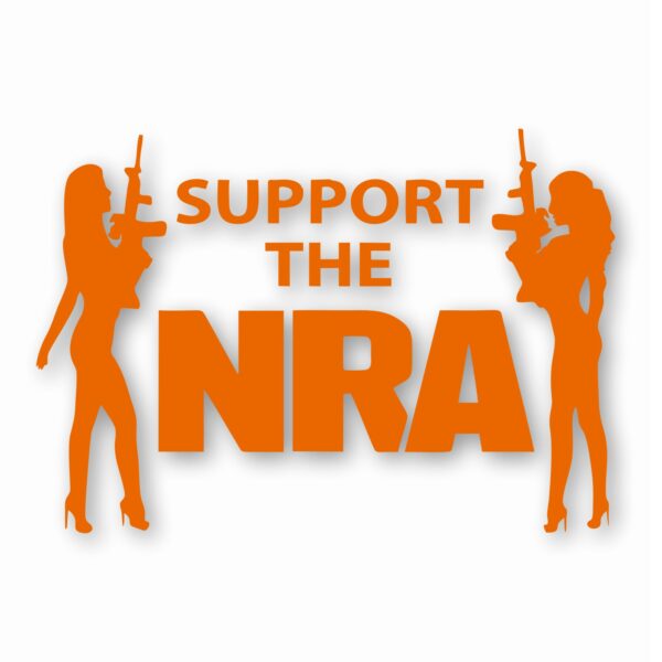 NRA Sexy Girls Support 2nd Amendment - Vinyl Decal Sticker - CHOOSE Size & Color