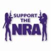 NRA Sexy Girls Support 2nd Amendment - Vinyl Decal Sticker - CHOOSE Size & Color