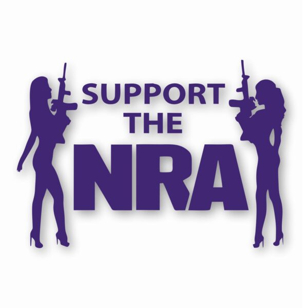 NRA Sexy Girls Support 2nd Amendment - Vinyl Decal Sticker - CHOOSE Size & Color