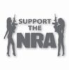 NRA Sexy Girls Support 2nd Amendment - Vinyl Decal Sticker - CHOOSE Size & Color