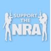 NRA Sexy Girls Support 2nd Amendment - Vinyl Decal Sticker - CHOOSE Size & Color