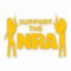 NRA Sexy Girls Support 2nd Amendment - Vinyl Decal Sticker - CHOOSE Size & Color
