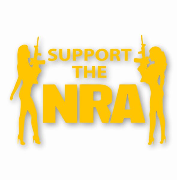 NRA Sexy Girls Support 2nd Amendment - Vinyl Decal Sticker - CHOOSE Size & Color