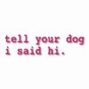 tell your dog i said hi. - Vinyl Decal Sticker - CHOOSE Size & Color