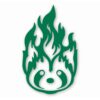 Fire Ferrets Anime Cartoon Pet Team - Vinyl Decal Sticker - CHOOSE Size & Color