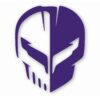 C8 Jake Skull Corvette Stingray - Vinyl Decal Sticker - CHOOSE Size & Color
