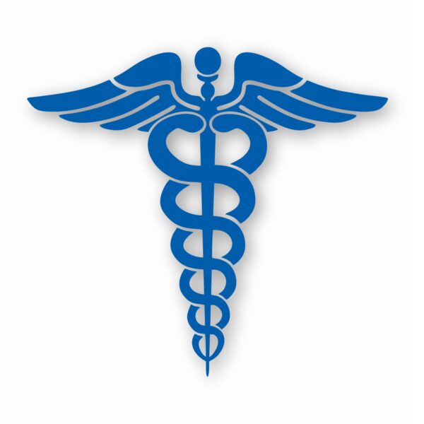 Caduceus RN EMT Nurse Paramedic - Vinyl Decal Sticker - CHOOSE Size & Color