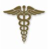 Caduceus RN EMT Nurse Paramedic - Vinyl Decal Sticker - CHOOSE Size & Color