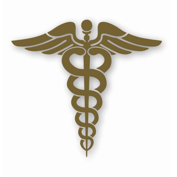 Caduceus RN EMT Nurse Paramedic - Vinyl Decal Sticker - CHOOSE Size & Color