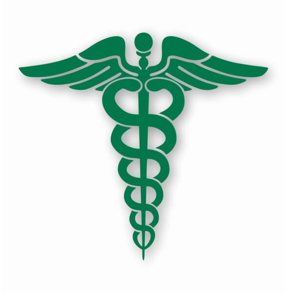 Caduceus RN EMT Nurse Paramedic - Vinyl Decal Sticker - CHOOSE Size & Color