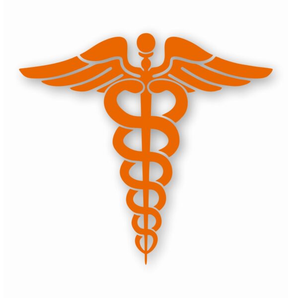 Caduceus RN EMT Nurse Paramedic - Vinyl Decal Sticker - CHOOSE Size & Color