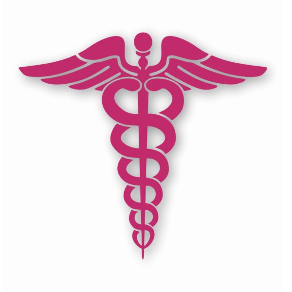Caduceus RN EMT Nurse Paramedic - Vinyl Decal Sticker - CHOOSE Size & Color