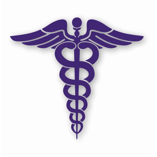 Caduceus RN EMT Nurse Paramedic - Vinyl Decal Sticker - CHOOSE Size & Color