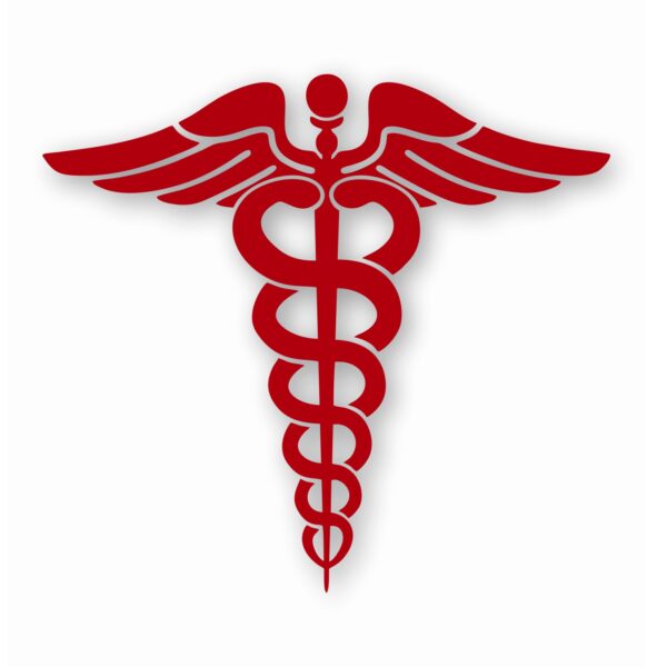 Caduceus RN EMT Nurse Paramedic - Vinyl Decal Sticker - CHOOSE Size & Color