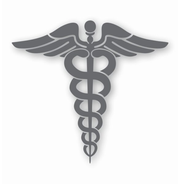 Caduceus RN EMT Nurse Paramedic - Vinyl Decal Sticker - CHOOSE Size & Color
