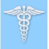 Caduceus RN EMT Nurse Paramedic - Vinyl Decal Sticker - CHOOSE Size & Color