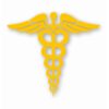 Caduceus RN EMT Nurse Paramedic - Vinyl Decal Sticker - CHOOSE Size & Color