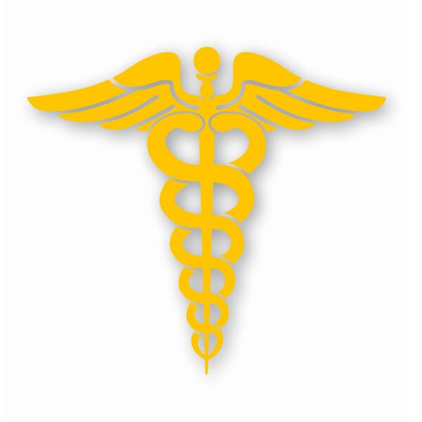 Caduceus RN EMT Nurse Paramedic - Vinyl Decal Sticker - CHOOSE Size & Color