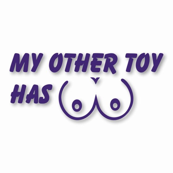 My Other Toy Has Boobs - Vinyl Decal Sticker - CHOOSE Size & Color
